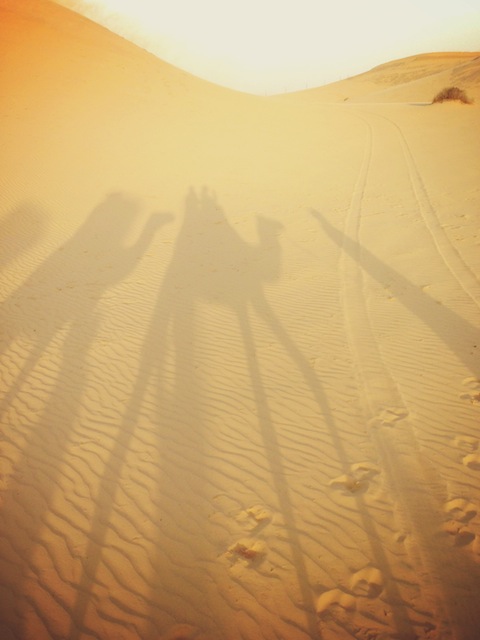 砂漠　ラクダ